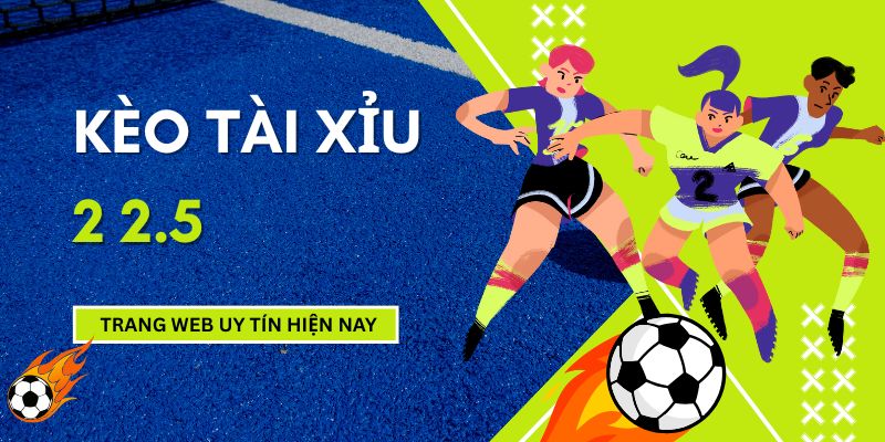 Kinh nghiệm soi kèo tài xỉu từ cao thủ
